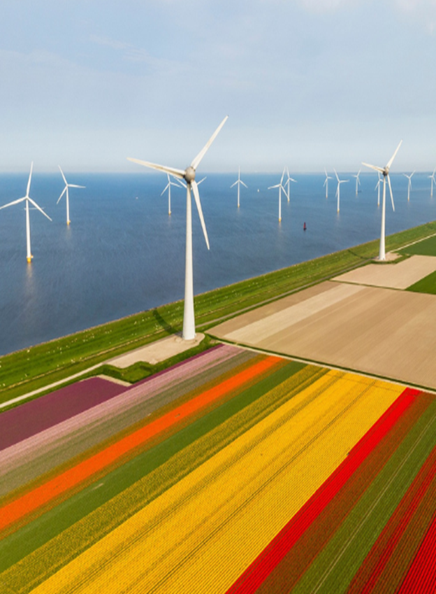 nieuwsbericht-groene-obligaties-500-x-500-px
