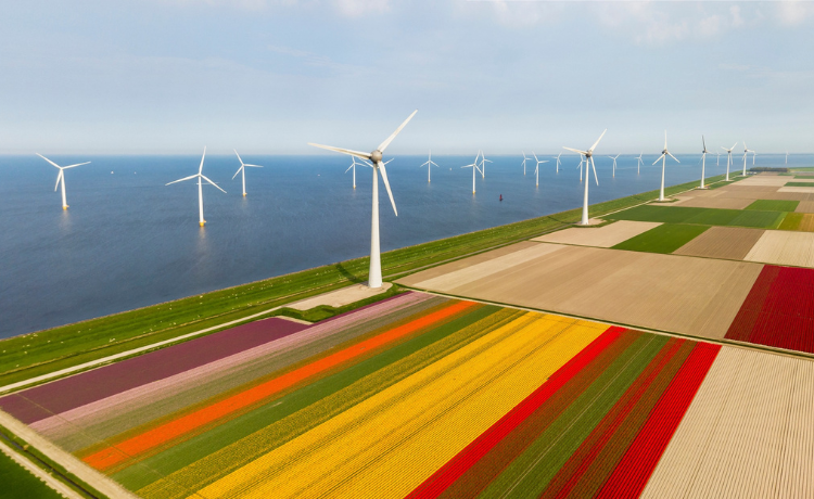 Een foto van een windmolenpark dichtbij de kust